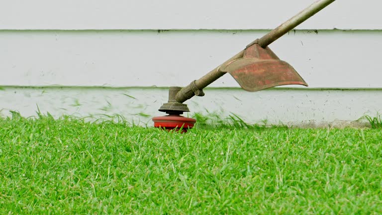 Best Soil Testing and Treatment  in Brooksville, MS