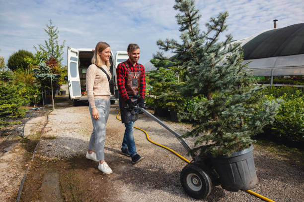 How Our Tree Care Process Works  in  Brooksville, MS