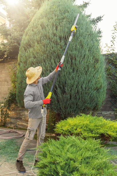 Best Organic Lawn Care Solutions  in Brooksville, MS